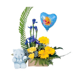 Newborn baby boy - Flower Basket, Soft Toy and Balloon Gift
