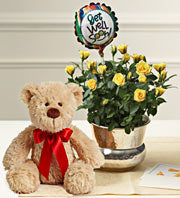 Get well soon gift - Teddy, Balloon and Flower Basket