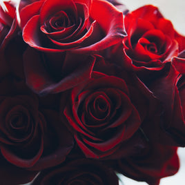 Love is in the Air - 12 Red Rose Bouquet